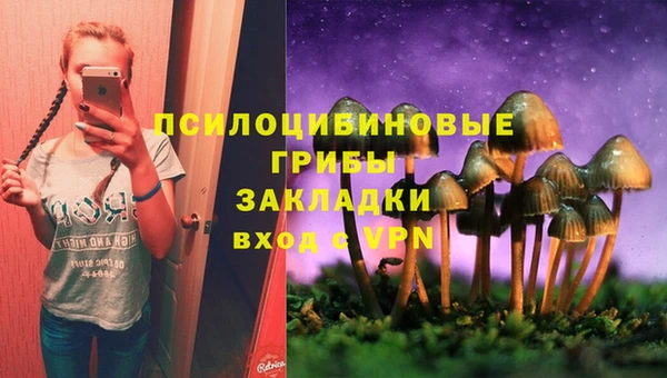 молекула духа Алексеевка