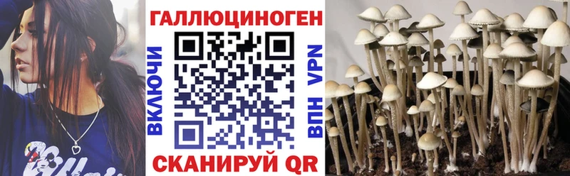 Галлюциногенные грибы прущие грибы  наркотики  Одинцово 